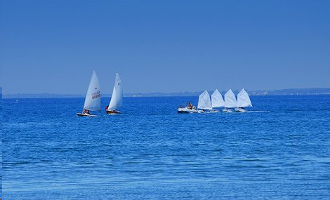 Desideri aprire una scuola di vela? Con YCR lo puoi fare